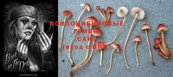 гашиш Балахна