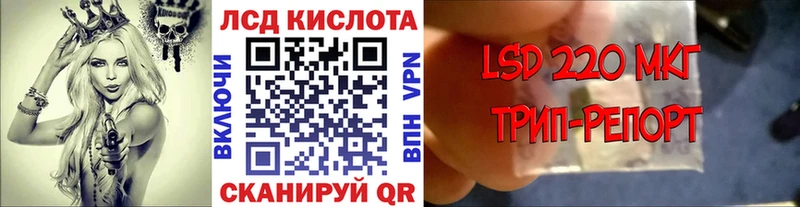 где найти   Благодарный  Марки N-bome 1,8мг 